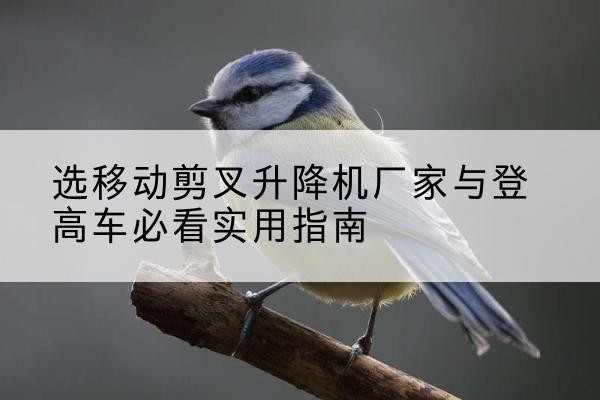 酒泉电动升降机厂家-选移动剪叉升降机厂家与登高车必看实用指南