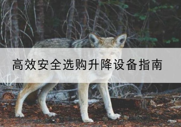 酒泉升降货梯厂家推荐-*安全选购升降设备指南