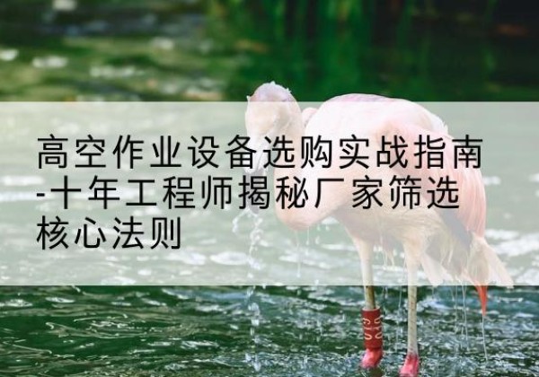 酒泉剪叉式升降机厂家-高空作业设备选购实战指南-十年工程师揭秘厂家筛选核心法则